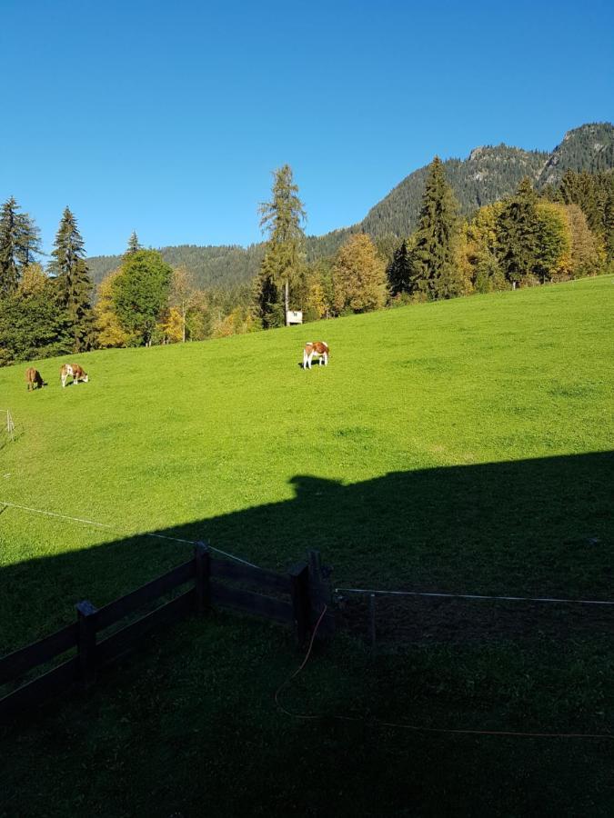 Haus Theresia Alpbach Zewnętrze zdjęcie