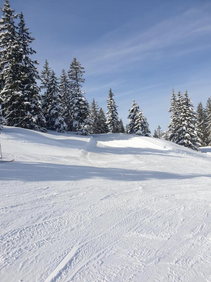 Haus Theresia Alpbach Zewnętrze zdjęcie