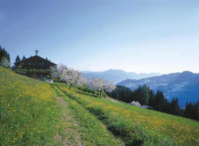 Haus Theresia Alpbach Zewnętrze zdjęcie